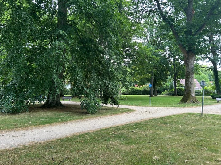 Foto 3 van Laan 70-D