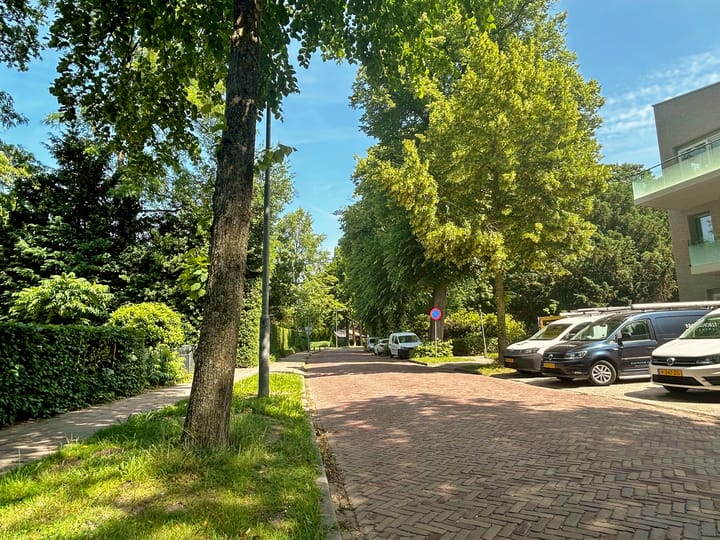 Foto 4 van Laan 70-D