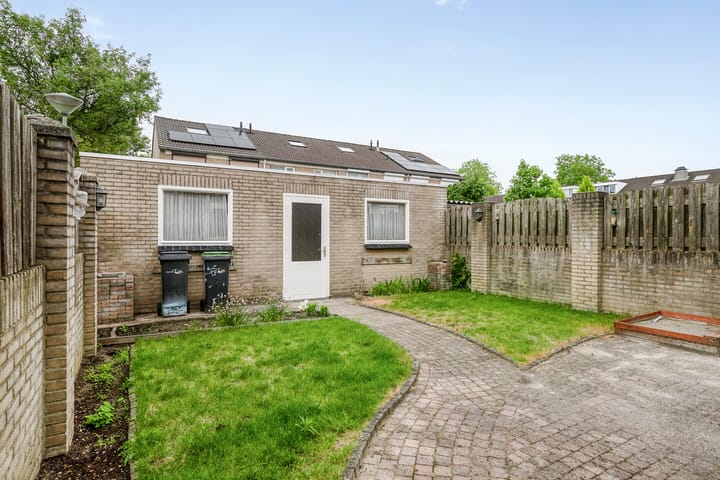 Foto 3 van Goudplevier 127