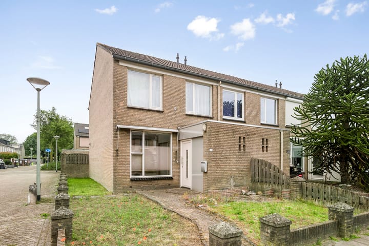 Foto 4 van Goudplevier 127