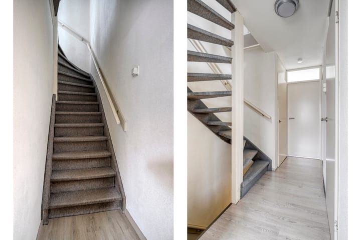 Foto 12 van Goudplevier 127