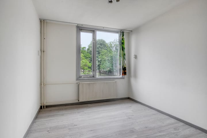 Foto 15 van Goudplevier 127