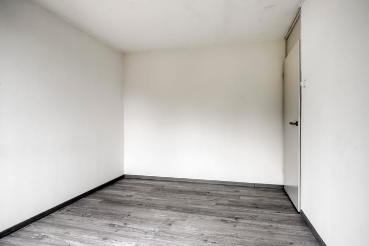 Foto 16 van Goudplevier 127