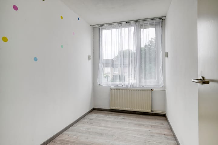 Foto 17 van Goudplevier 127