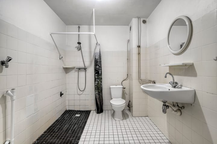 Foto 18 van Goudplevier 127