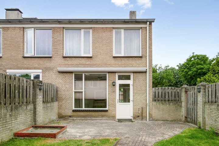 Foto 20 van Goudplevier 127