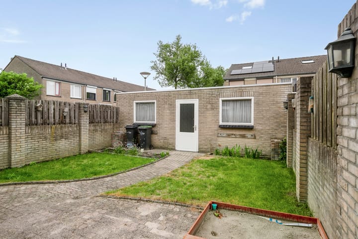 Foto 21 van Goudplevier 127