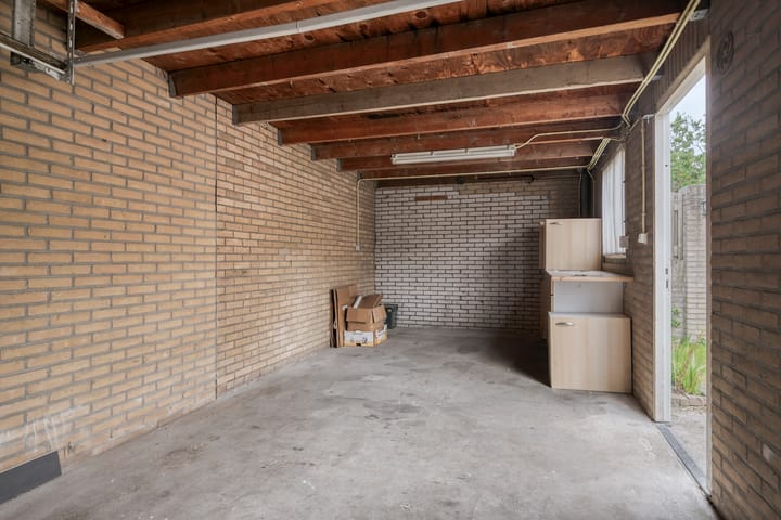 Foto 22 van Goudplevier 127