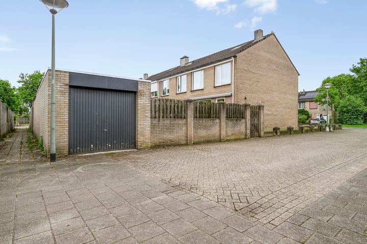 Foto 23 van Goudplevier 127