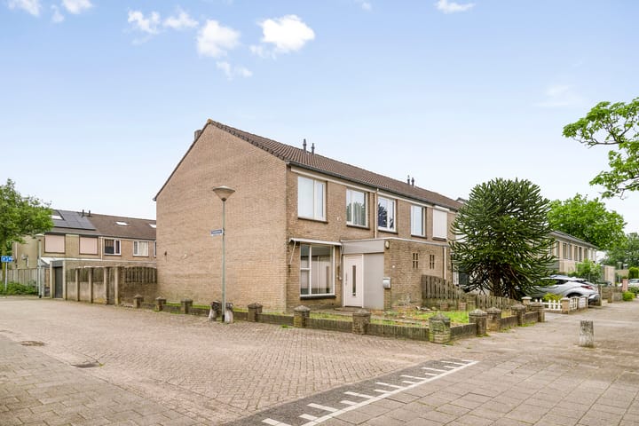 Foto 24 van Goudplevier 127