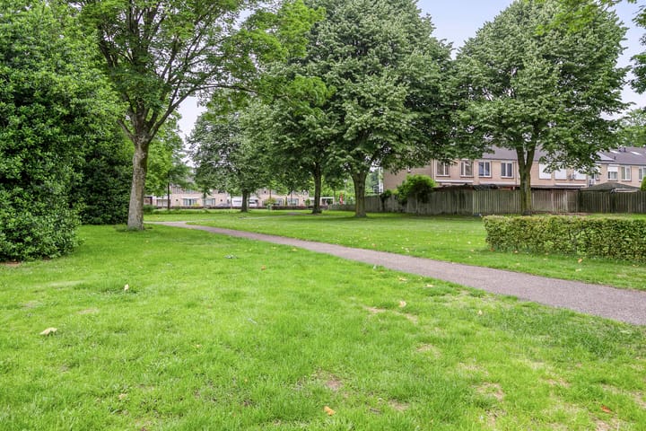 Foto 25 van Goudplevier 127