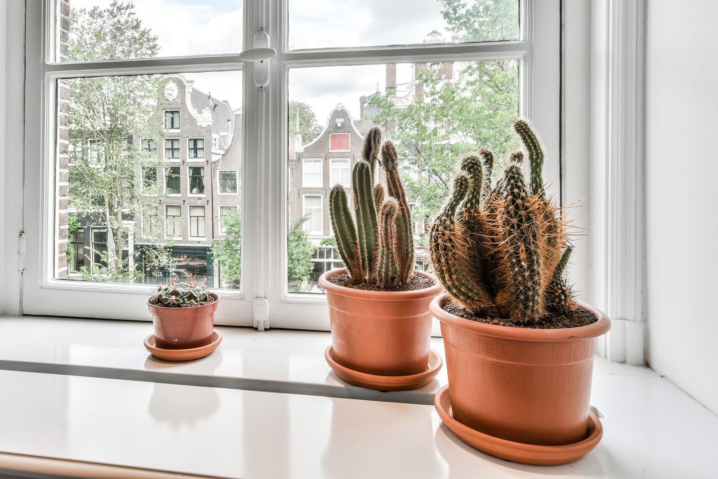 Foto 19 van Leliegracht 9-C