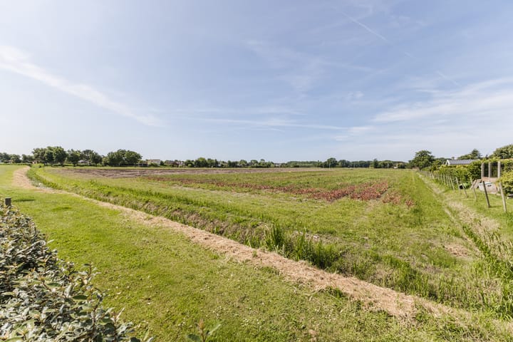 Foto 33 van Driehuizerweg 8-061