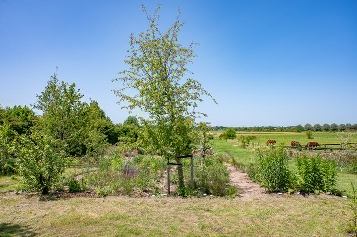 Foto 13 van Rhabergseweg 26