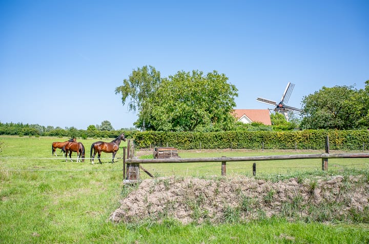 Foto 49 van Rhabergseweg 26