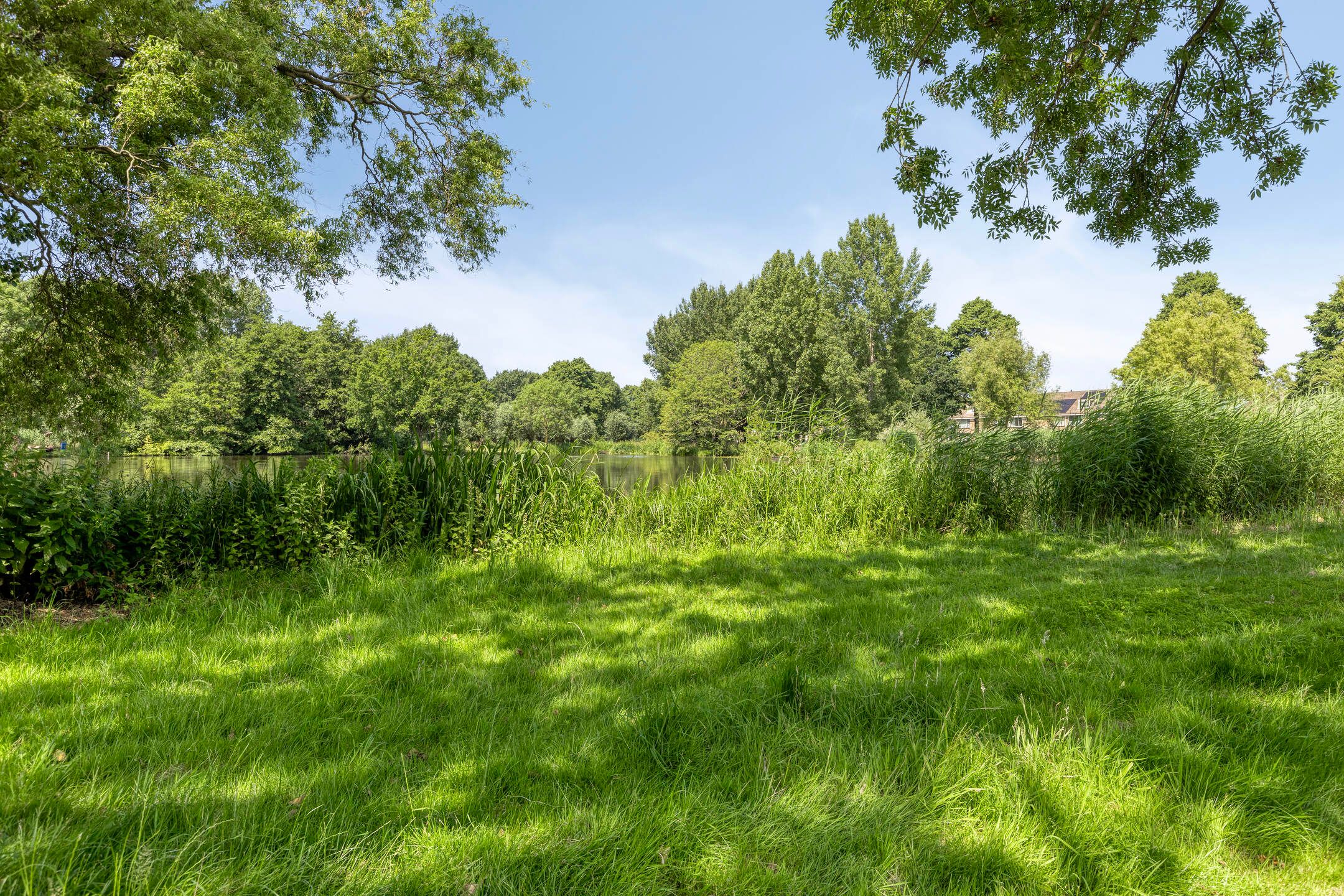 Foto 45 van Vijverlaan 452