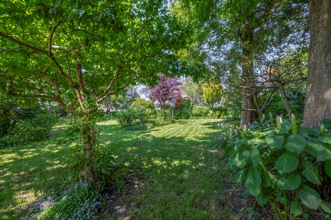 Foto 31 van Kaagjesland 45