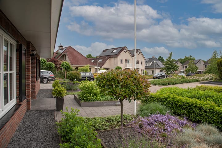 Foto 40 van Sleutelbloem 59