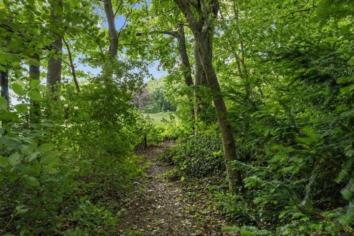 Foto 36 van Woldweg 76