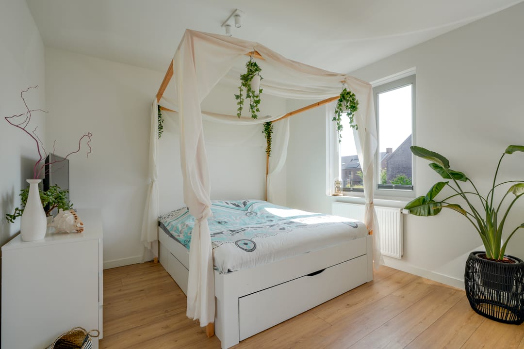 Foto 22 van Wilde rijstvliet 100