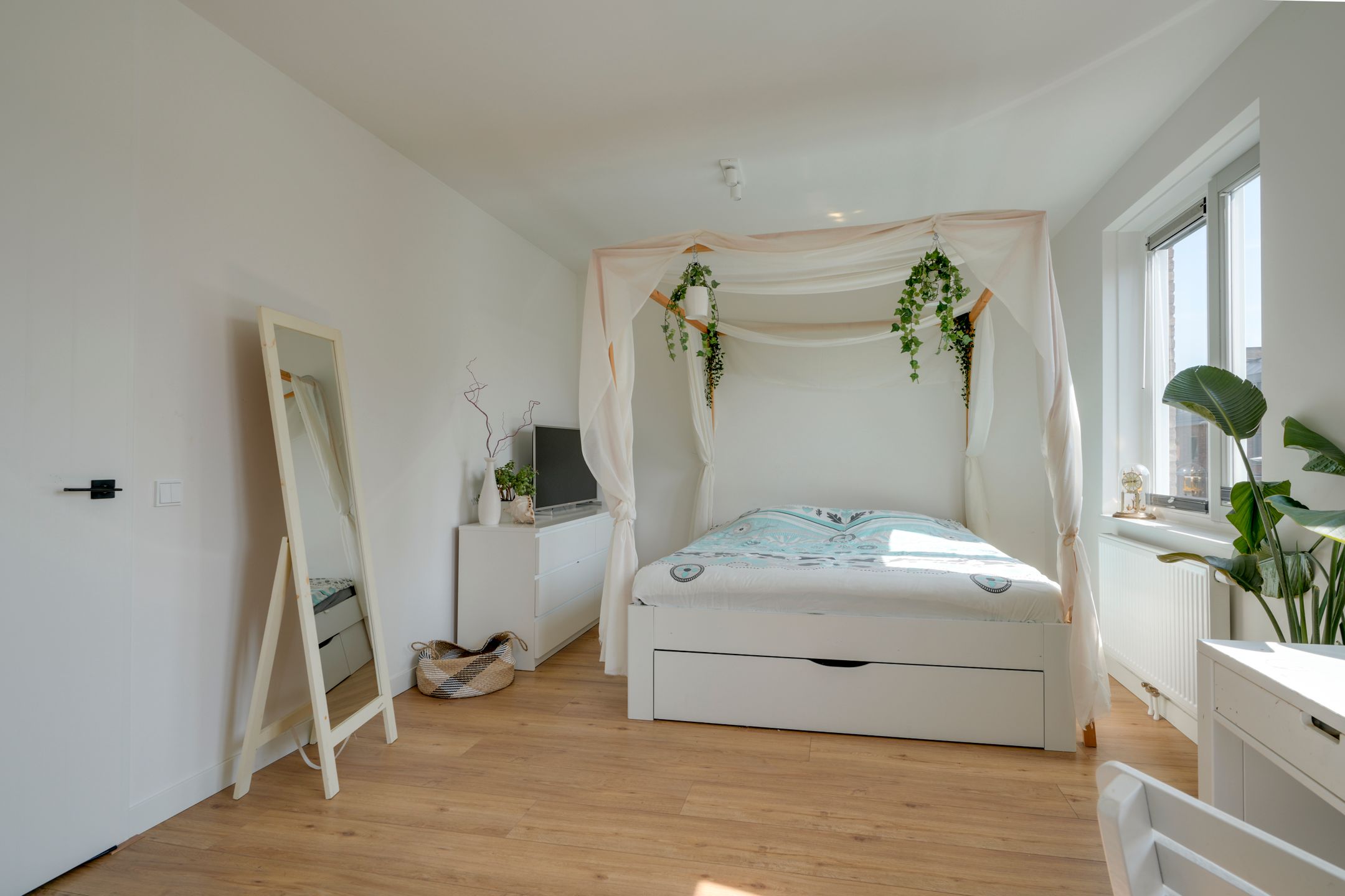 Foto 24 van Wilde rijstvliet 100