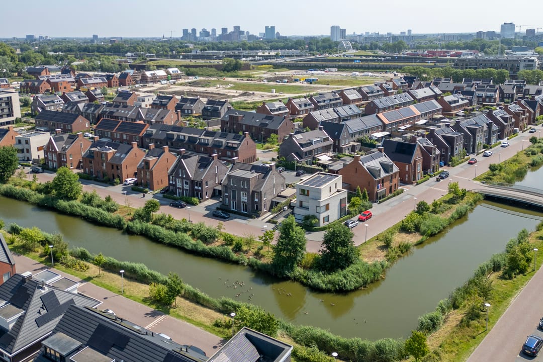 Foto 38 van Wilde rijstvliet 100