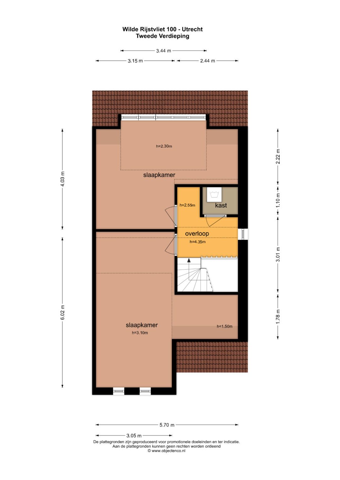 Foto 44 van Wilde rijstvliet 100