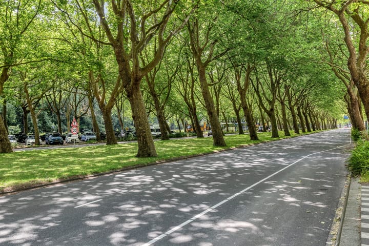 Foto 45 van Oldengaarde 45