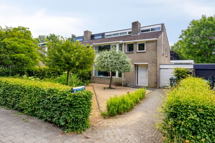 undefined main image