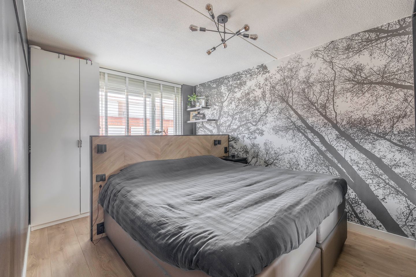 Foto 4 van Karekiet 74