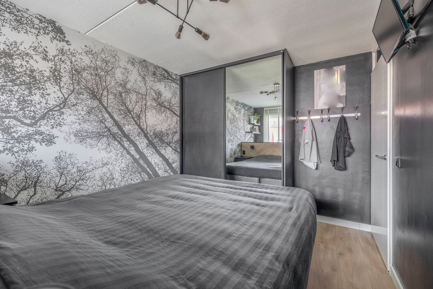 Foto 19 van Karekiet 74