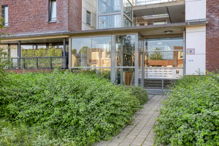 Foto 7 van De Schutspatroon 39