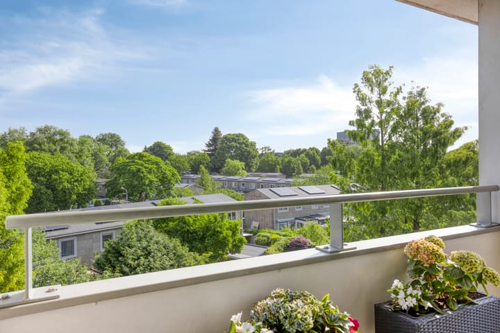 Foto 21 van De Schutspatroon 39