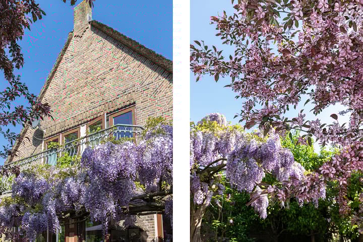 Foto 38 van Nieuwe Veer 47