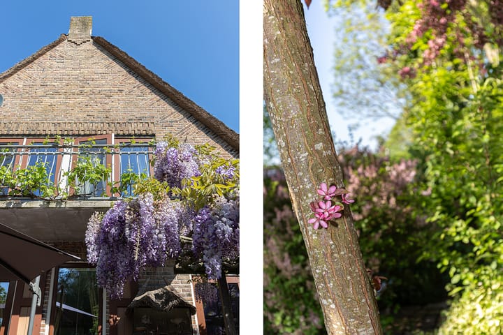 Foto 41 van Nieuwe Veer 47