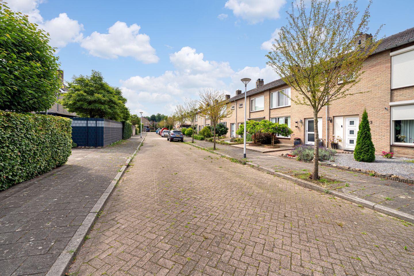 Foto 5 van Zonnedauw 21