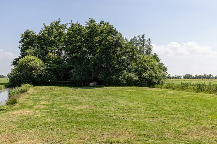 Foto 63 van Nieuwe Veer 47