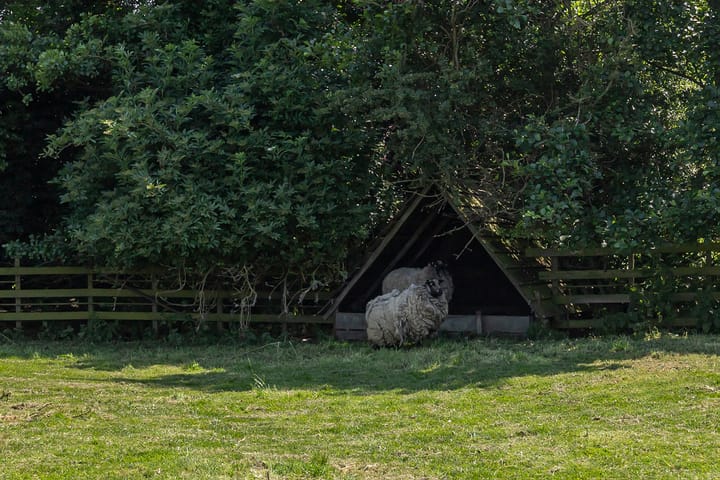 Foto 64 van Nieuwe Veer 47