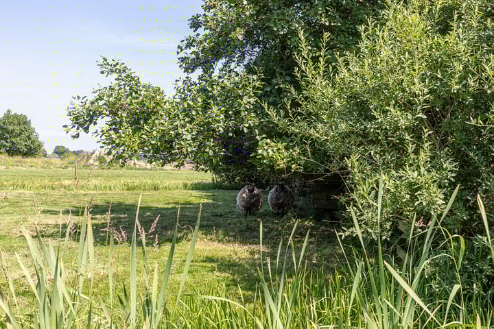 Foto 67 van Nieuwe Veer 47