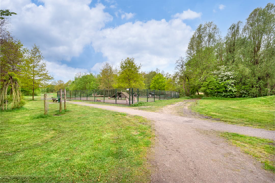 Foto 31 van Zonnedauw 21