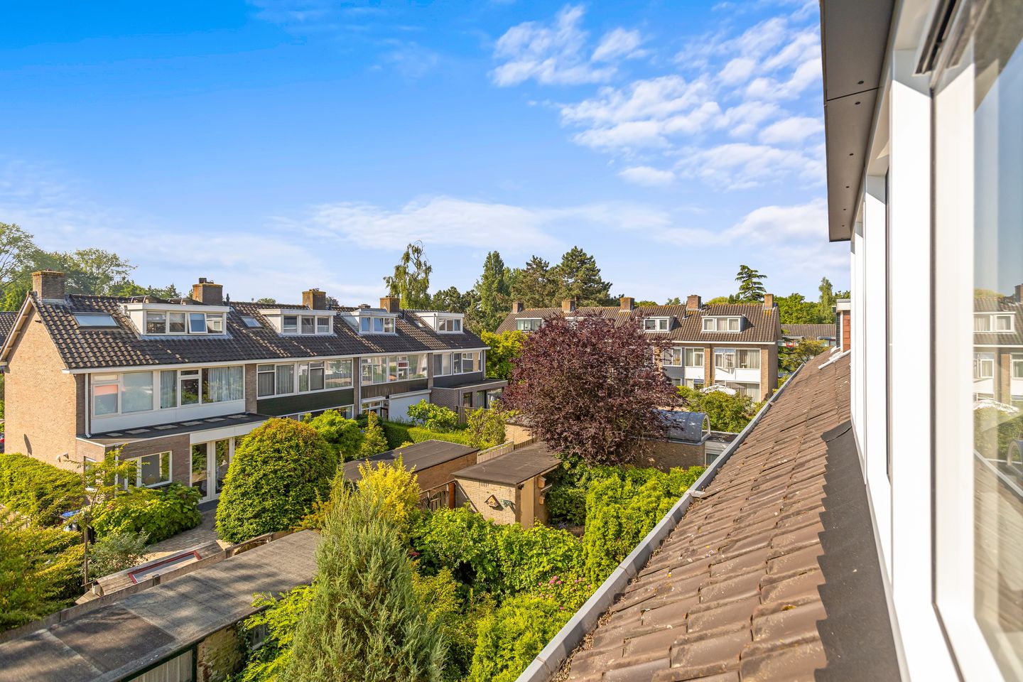 Foto 20 van Reseda 2