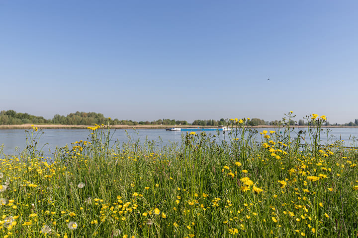 Foto 81 van Nieuwe Veer 47