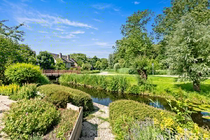 Foto 20 van Korenbloem 10