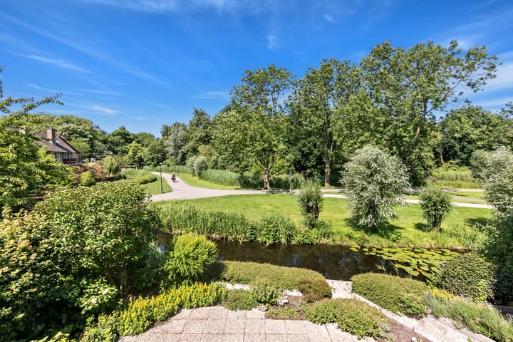 Foto 21 van Korenbloem 10