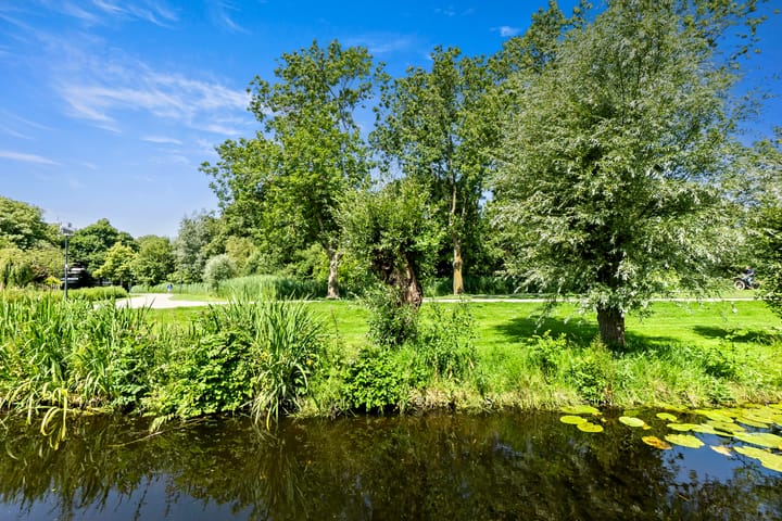 Foto 22 van Korenbloem 10