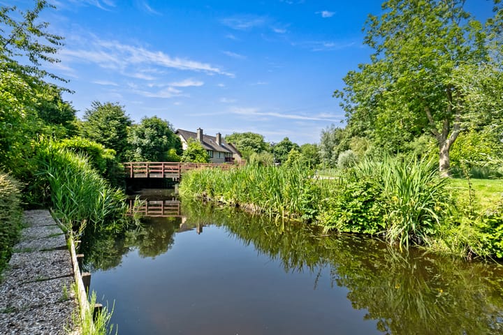 Foto 23 van Korenbloem 10