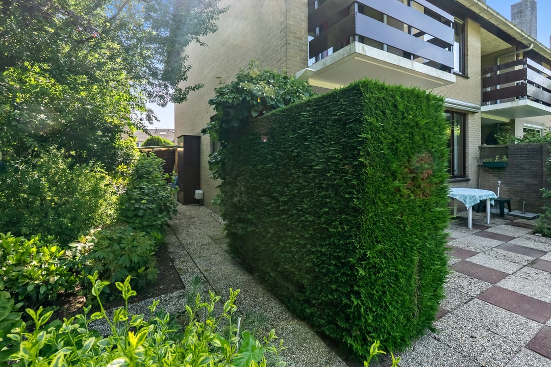 Foto 26 van Korenbloem 10