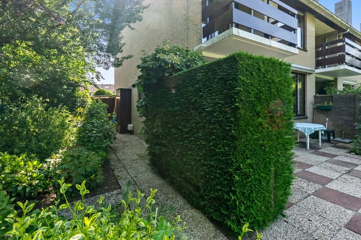 Foto 26 van Korenbloem 10