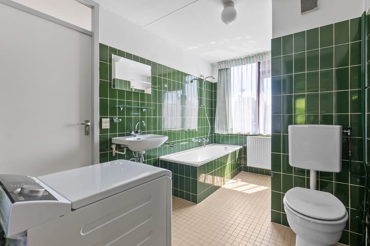 Foto 38 van Korenbloem 10