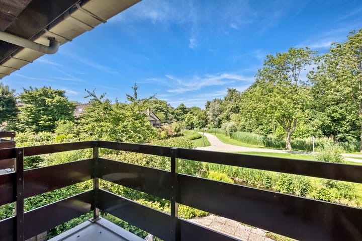 Foto 45 van Korenbloem 10